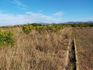 Polígono 52, parcela 47 2