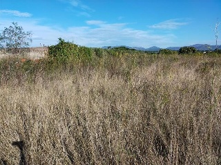 Polígono 52, parcela 47 4