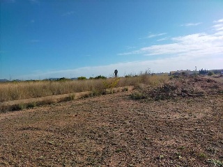 Polígono 52, parcela 47 5