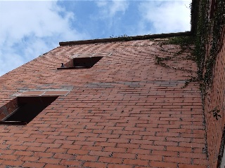 ESCALA 6