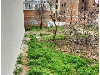 MAYOR 3
