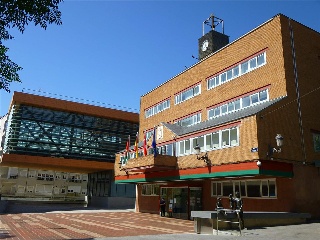 MAYOR 8