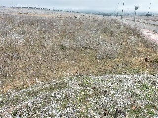 ALMARZA 6