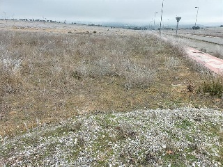 ALMARZA 8
