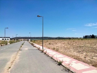 ALMARZA 10