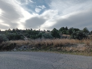 SENYERA 3