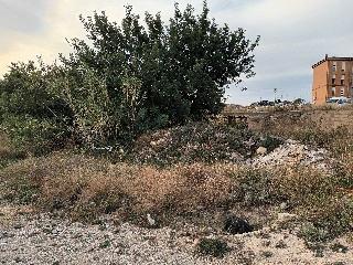 SENYERA 5