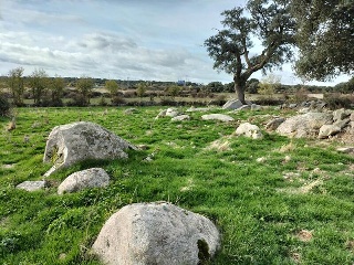 VICOLOZANO 3