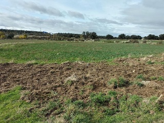 VICOLOZANO 14