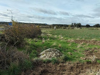 VICOLOZANO 15