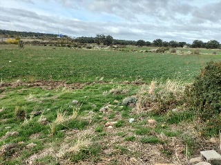VICOLOZANO 16