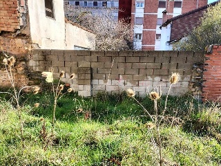 MAYOR 5