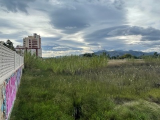 CANAL, DEL 12