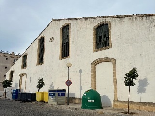 DIVINA PASTORA 2