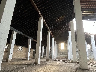 DIVINA PASTORA 4