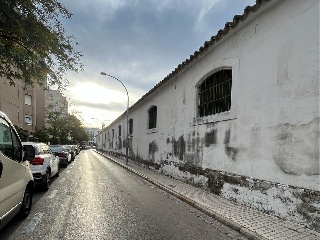DIVINA PASTORA 11