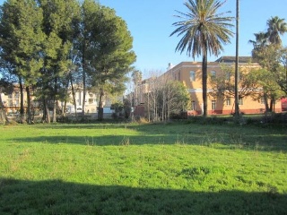 PARAJE CHORFI 11