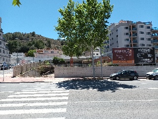 PINTOR JUAN FRANCES 20