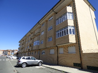 ALI CARO 14