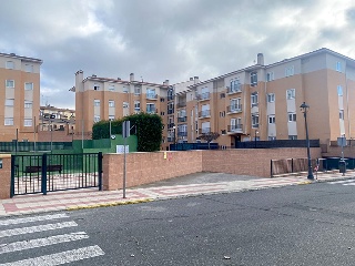 ALI CARO 15