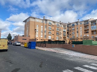 ALI CARO 16