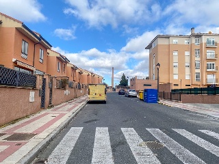 ALI CARO 17