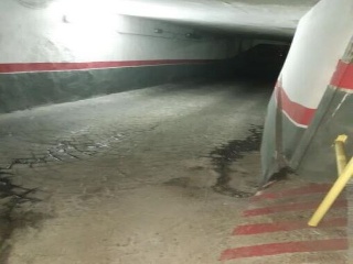 LOS ALUCHES 3