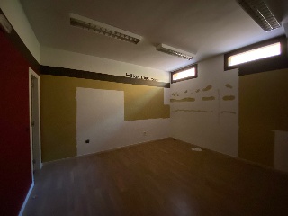 JOSE ZORRILLA 11