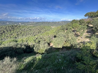 POBLAT IBERIC 19