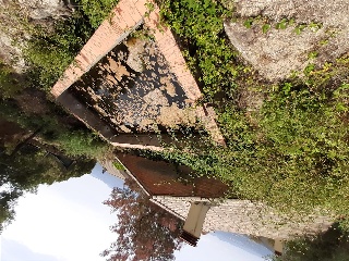 DEL PUIG BRULL 24