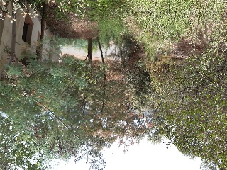 DEL PUIG BRULL 27