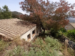 DEL PUIG BRULL 30
