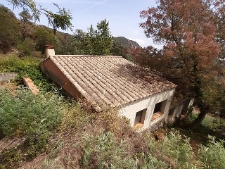 DEL PUIG BRULL 31