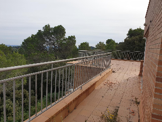 CAMI DE PUIG CODINA 7