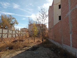 DELICIAS 11