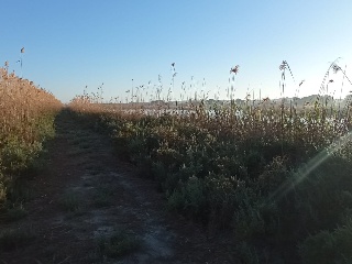 Otros en venta en San Fulgencio