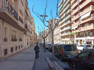 CONSTITUCION 49 28