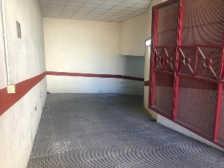 VICENTE ALEXANDRE 3