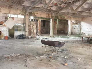 RAURE 10