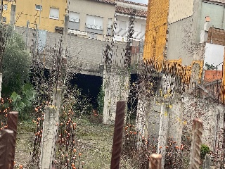 TORRENT 6