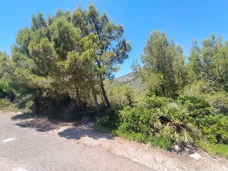 Otros en venta en Alcalà De Xivert