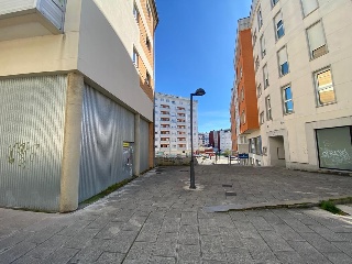 MARGARIDA 2
