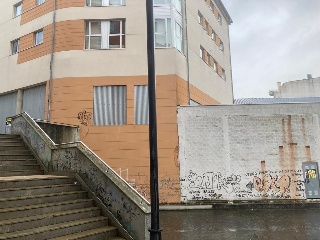 MARGARIDA 3