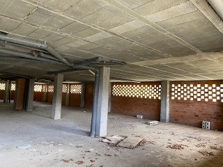 PROGRESO 15