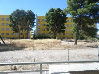 FRANCISCO ARITIO 15