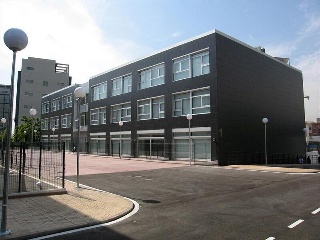 MATAPIÑONERA 16
