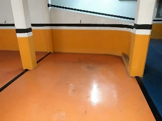 AREAS 9