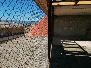 OLIVA 3