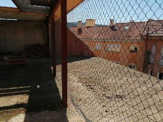 OLIVA 5