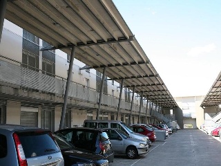 VEREDA CARPETANA 4